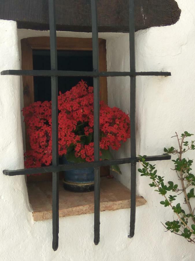 Conjunto Rural Casa Victoria Villaluenga Del Rosario Exterior foto